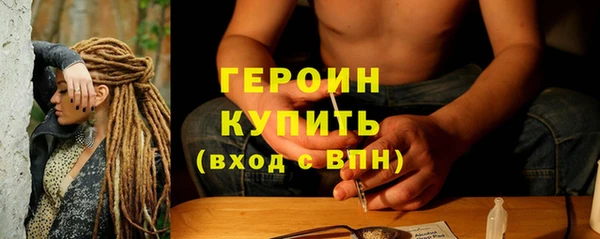 прущие грибы Елизово