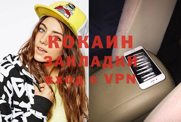прущие грибы Елизово