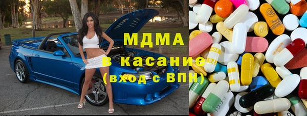 прущие грибы Елизово