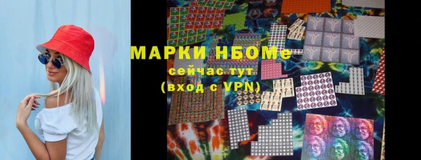 прущие грибы Елизово