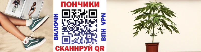 Марихуана OG Kush  Чердынь 